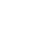 icons8-wordpress-100